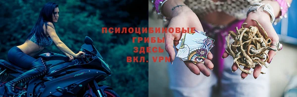 хмурый Арсеньев