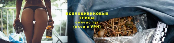 твердый Аркадак