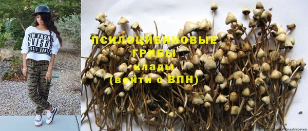 хмурый Арсеньев