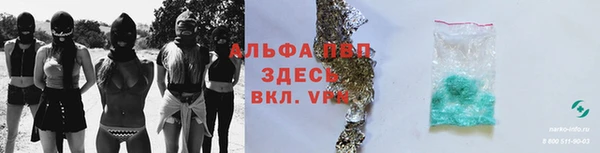 хмурый Арсеньев
