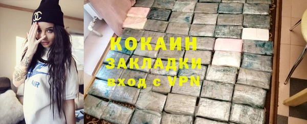 хмурый Арсеньев