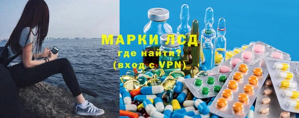 хмурый Арсеньев