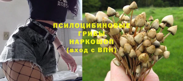 твердый Аркадак