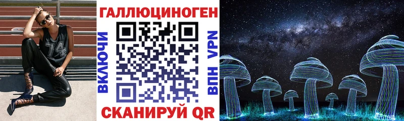 сколько стоит Дыгулыбгей сайты даркнета наркотические препараты Псилоцибиновые грибы прущие грибы